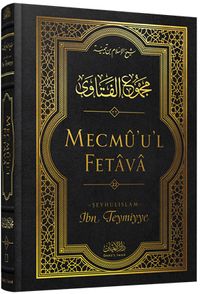 Mecmû'u'l-Fetava (22. cilt)