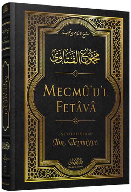 Mecmû'u'l-Fetava (22. cilt)