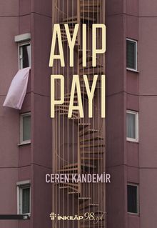 Ayıp Payı