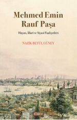 Mehmed Emin Rauf Paşa & Hayatı, İdarî ve Siyasî Faaliyetleri 