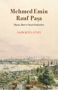 Mehmed Emin Rauf Paşa & Hayatı, İdarî ve Siyasî Faaliyetleri 