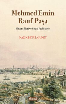 Mehmed Emin Rauf Paşa & Hayatı, İdarî ve Siyasî Faaliyetleri 
