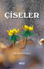 Çiseler