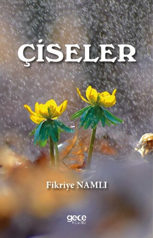 Çiseler