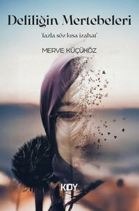 Deliliğin Mertebeleri