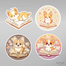 Corgi ve Kitap Sticker Seti </span>