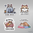 Sevimli Kedi Sticker Seti </span>