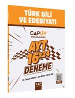 AYT Türk Dili ve Edebiyatı 16 X 24 Up Deneme