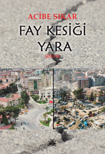 Fay Kesiği Yara