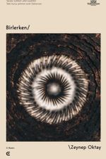 Birlerken