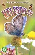 Kelebekler / Hayvanların Sıradışı Dünyası