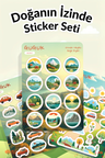 Doğanın İzinde Sticker Yaprakları Seti