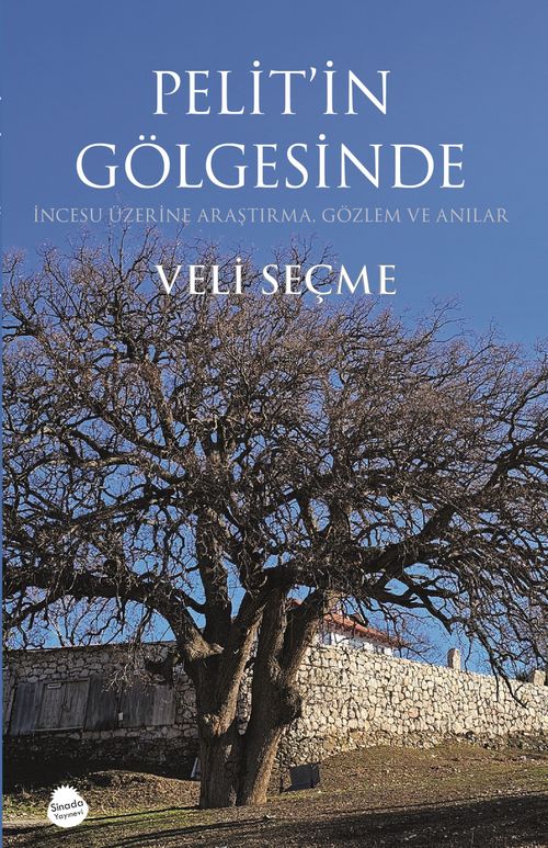 Pelit'in Gölgesinde  İncesu Üzerine Araştırma, Gözlem ve Anılar