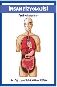 İnsan Fizyoolojisi