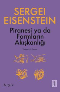 Piranesi ya da Formların Akışkanlığı