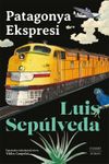 Patagonya Ekspresi