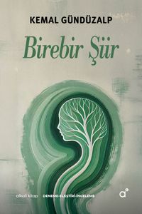 Birebir Şiir