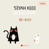 Siyah Kedi Beyaz Fare / Renkler