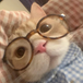 Duygu sevinç Çelik