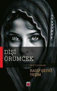 Dişi Örümcek