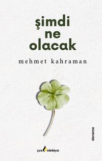 Şimdi Ne Olacak