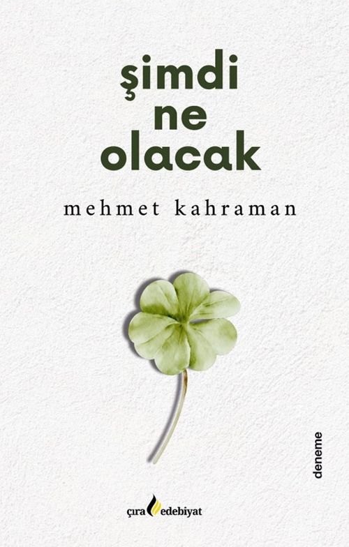 Şimdi Ne Olacak