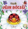 Küçük Uğur Böceği