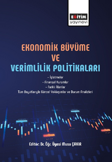 Ekonomik Büyüme Ve Verimlilik Politikaları / İşletmeler, Finansal Kurumlar, Farklı Alanlar Tüm Boyutlarıyla Güncel Yaklaşımlar ve Durum Analizleri