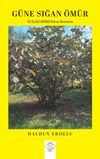 G&uuml;ne Sığan &Ouml;m&uuml;r & 12 Eyl&uuml;l (1980) Fatsa Romanı