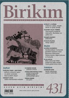 Birikim Dergisi Sayı:431 Mart 2025
