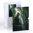 Ormanın Derinliklerinde, Özel Tasarım Kılıflı A4 Poster</span>
