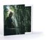 Ormanın Derinliklerinde, Özel Tasarım Kılıflı A4 Poster