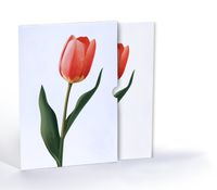 Lale Zerafeti, Özel Tasarım Kılıflı A4 Poster