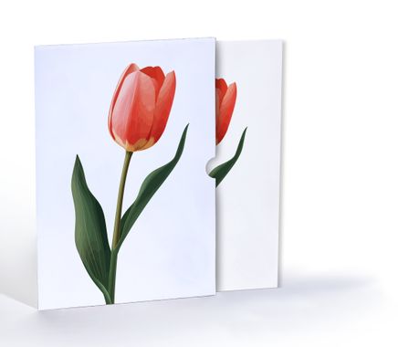 Lale Zerafeti, Özel Tasarım Kılıflı A4 Poster