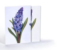 Lavanta Zerafeti, Özel Tasarım Kılıflı A4 Poster