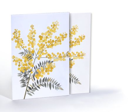 Mimoza Zerafeti, Özel Tasarım Kılıflı A4 Poster