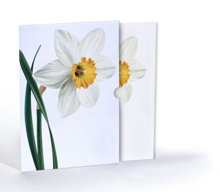 Nergis Zerafeti, Özel Tasarım Kılıflı A4 Poster