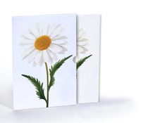 Papatya Zerafeti, Özel Tasarım Kılıflı A4 Poster