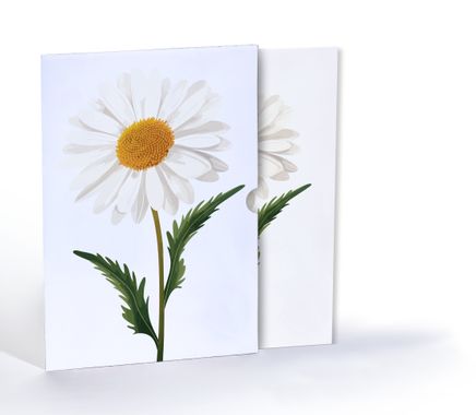 Papatya Zerafeti, Özel Tasarım Kılıflı A4 Poster