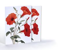 Perunya Zerafeti, Özel Tasarım Kılıflı A4 Poster