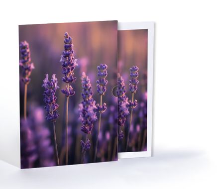 Lavanta, Özel Tasarım Kılıflı A4 Poster