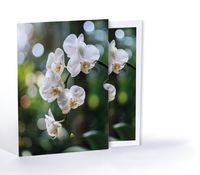 Orkide, Özel Tasarım Kılıflı A4 Poster