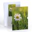 Papatya, Özel Tasarım Kılıflı A4 Poster</span>