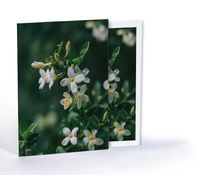 Yasemin, Özel Tasarım Kılıflı A4 Poster