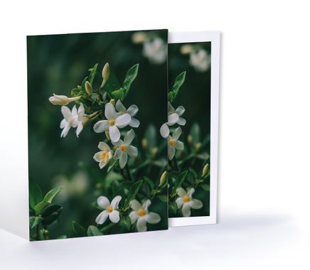 Yasemin, Özel Tasarım Kılıflı A4 Poster