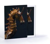 Deniz Atı, Özel Tasarım Kılıflı A4 Poster