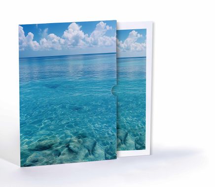 Berrak Deniz, Özel Tasarım Kılıflı A4 Poster