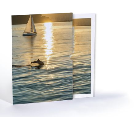 Yelken ve Yunus, Özel Tasarım Kılıflı A4 Poster