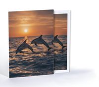 Gün Batımındaki Yunusların Dansı, Özel Tasarım Kılıflı A4 Poster