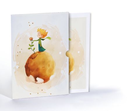 Küçük Prens'in Yalnız Gezegeni, Özel Tasarım Kılıflı A4 Poster